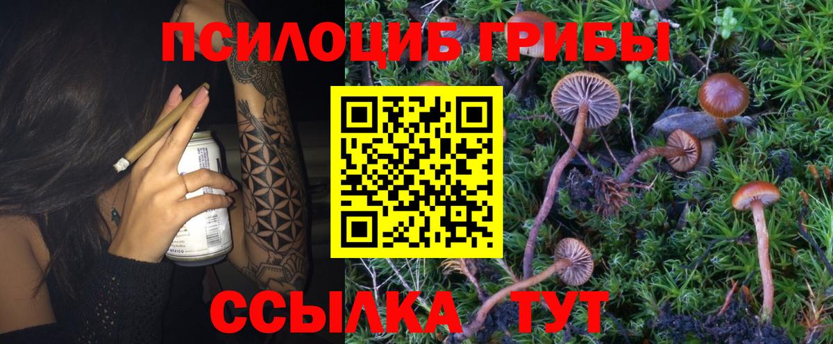 Галлюциногенные грибы мухоморы Волжск